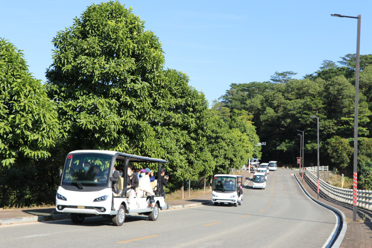 電動(dòng)觀光車 電動(dòng)觀光車