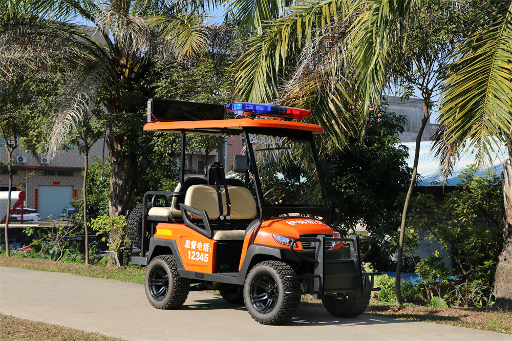 護(hù)林防火巡查車，電動巡邏車